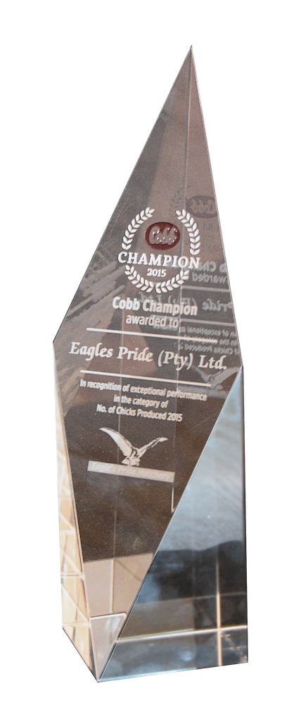 Cobb Champion Award Exceptional Performance 2015