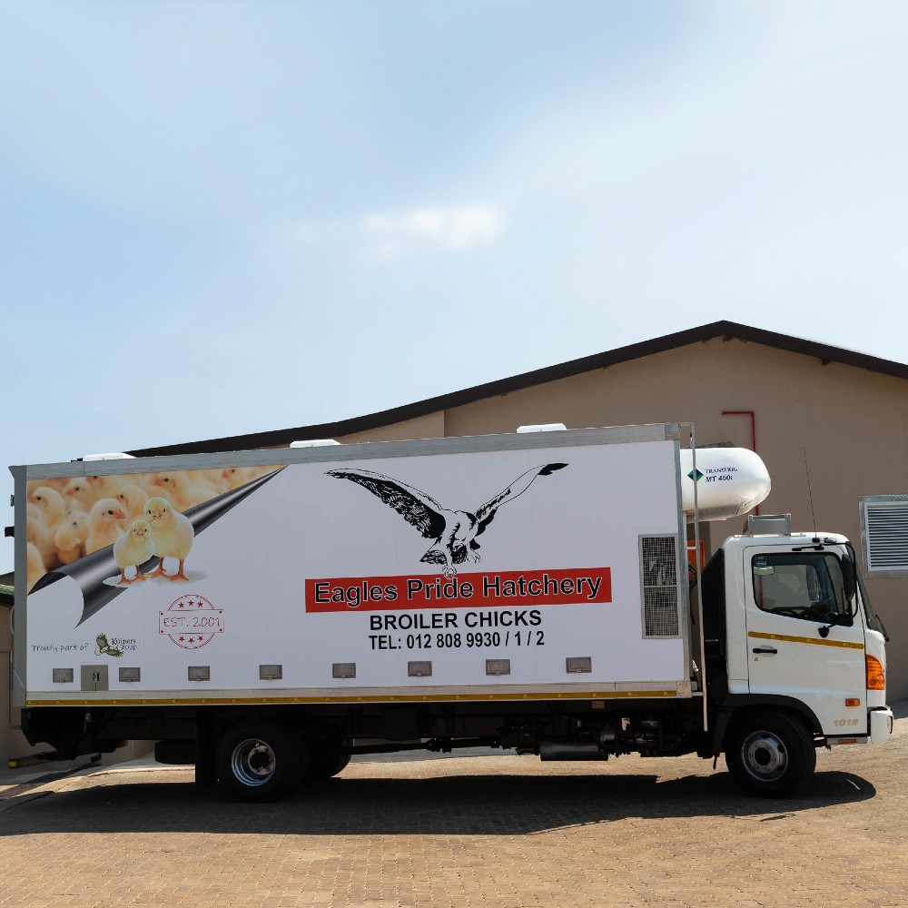 Truck for distributionTruck for distribution